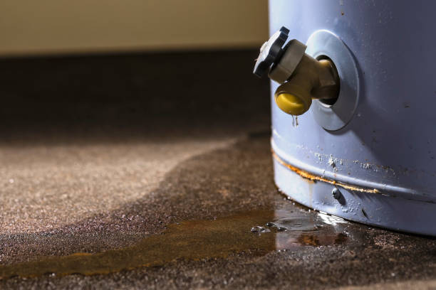 Best Basement water damage restoration  in West Point, VA