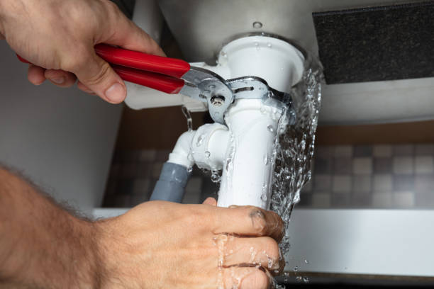 Best Flood damage cleanup  in West Point, VA