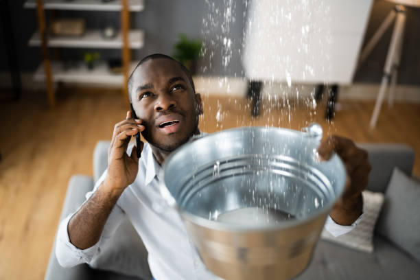 Best Ceiling water damage repair  in West Point, VA