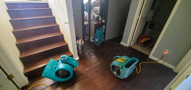 Best Water damage restoration near me  in West Point, VA