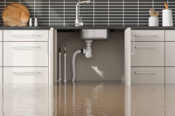 Best Flood damage cleanup  in West Point, VA