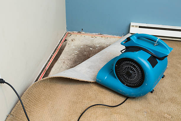 Best Commercial water damage restoration  in West Point, VA
